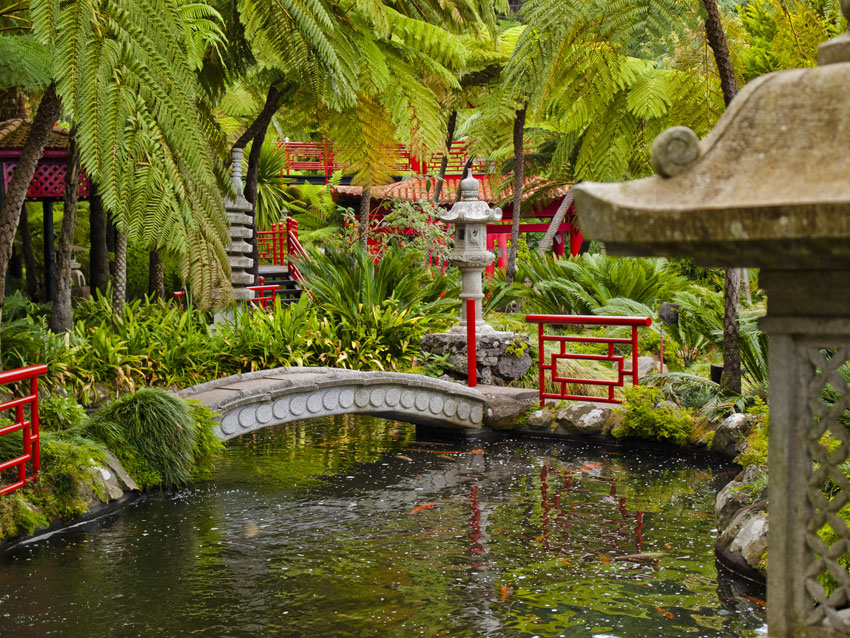 Superbe jardin zen tropical avec un pont.