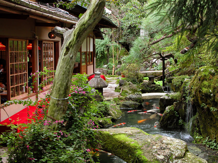 Un jardin zen avec un étang.
