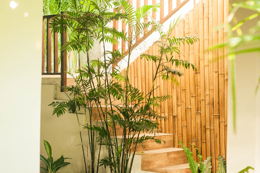 Très jardin zen d'intérieur avec décoration bambous.