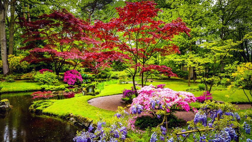 jardin relaxant avec arbres colorés.